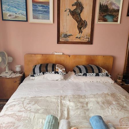 Apartment Madona Szybenik Zewnętrze zdjęcie
